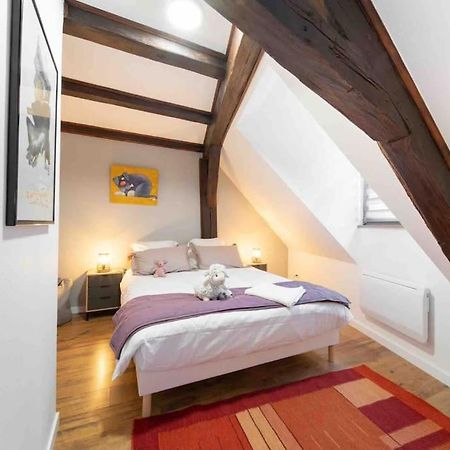Les Lionceaux, 120M2 A Colmar, Place De Parking Gratuite Exterior foto
