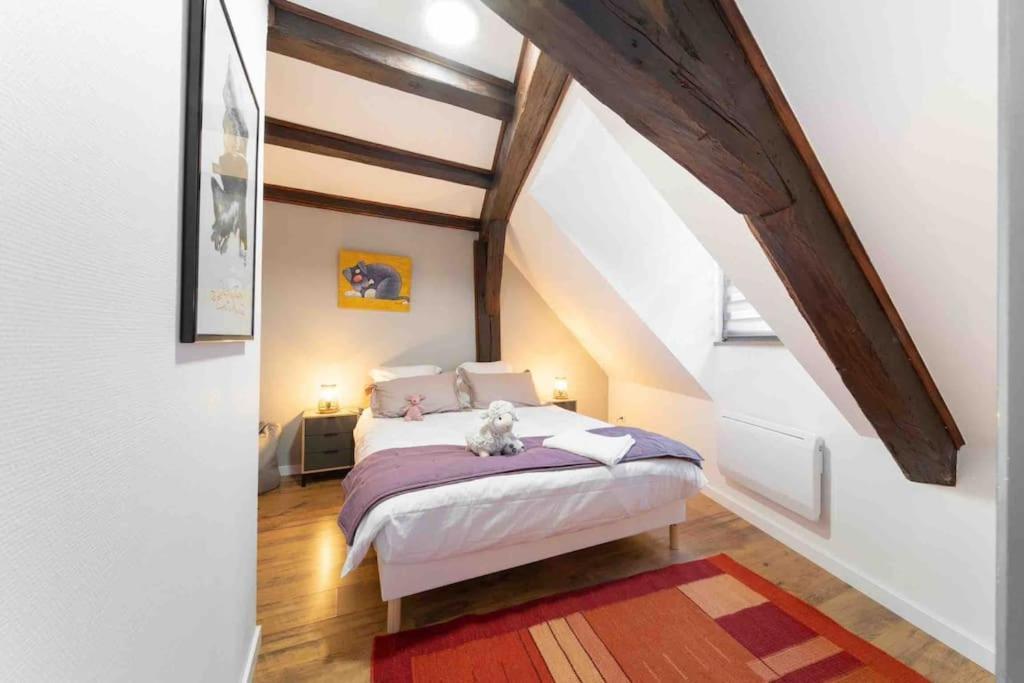 Les Lionceaux, 120M2 A Colmar, Place De Parking Gratuite Exterior foto