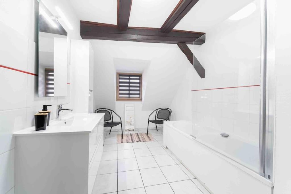 Les Lionceaux, 120M2 A Colmar, Place De Parking Gratuite Exterior foto