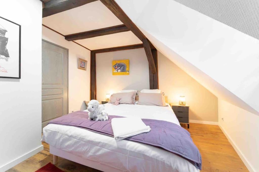 Les Lionceaux, 120M2 A Colmar, Place De Parking Gratuite Exterior foto