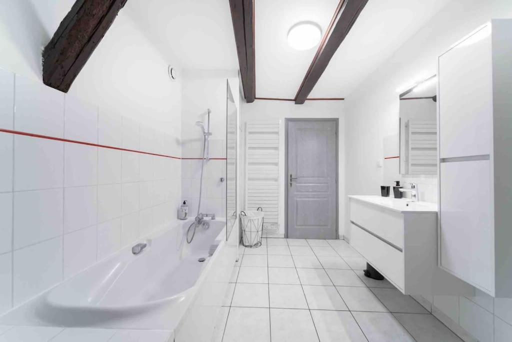 Les Lionceaux, 120M2 A Colmar, Place De Parking Gratuite Exterior foto
