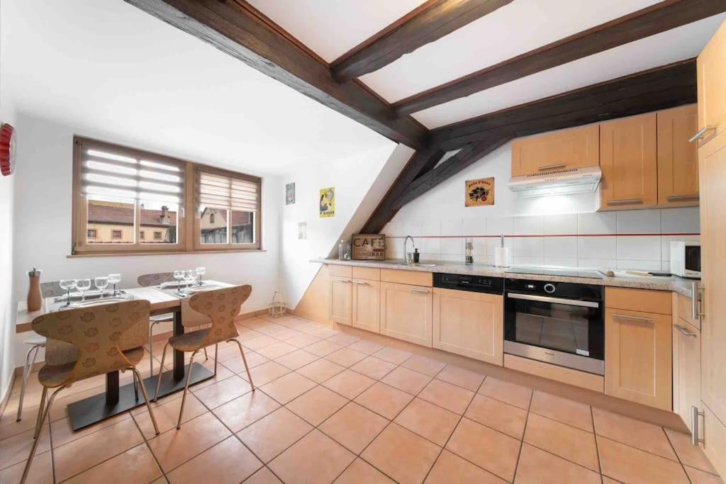 Les Lionceaux, 120M2 A Colmar, Place De Parking Gratuite Exterior foto