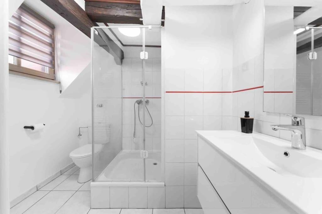 Les Lionceaux, 120M2 A Colmar, Place De Parking Gratuite Exterior foto